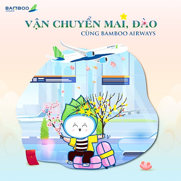 Bamboo Airways vận chuyển cành mai, đào dịp Tết 2023