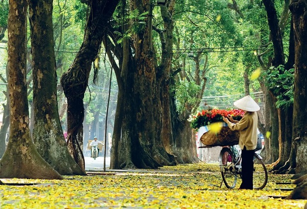 Mùa thu ở Hà Nội